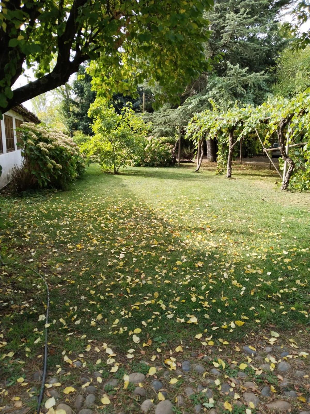 La Casa De Adobe Natural Y Mas Bulnes Εξωτερικό φωτογραφία