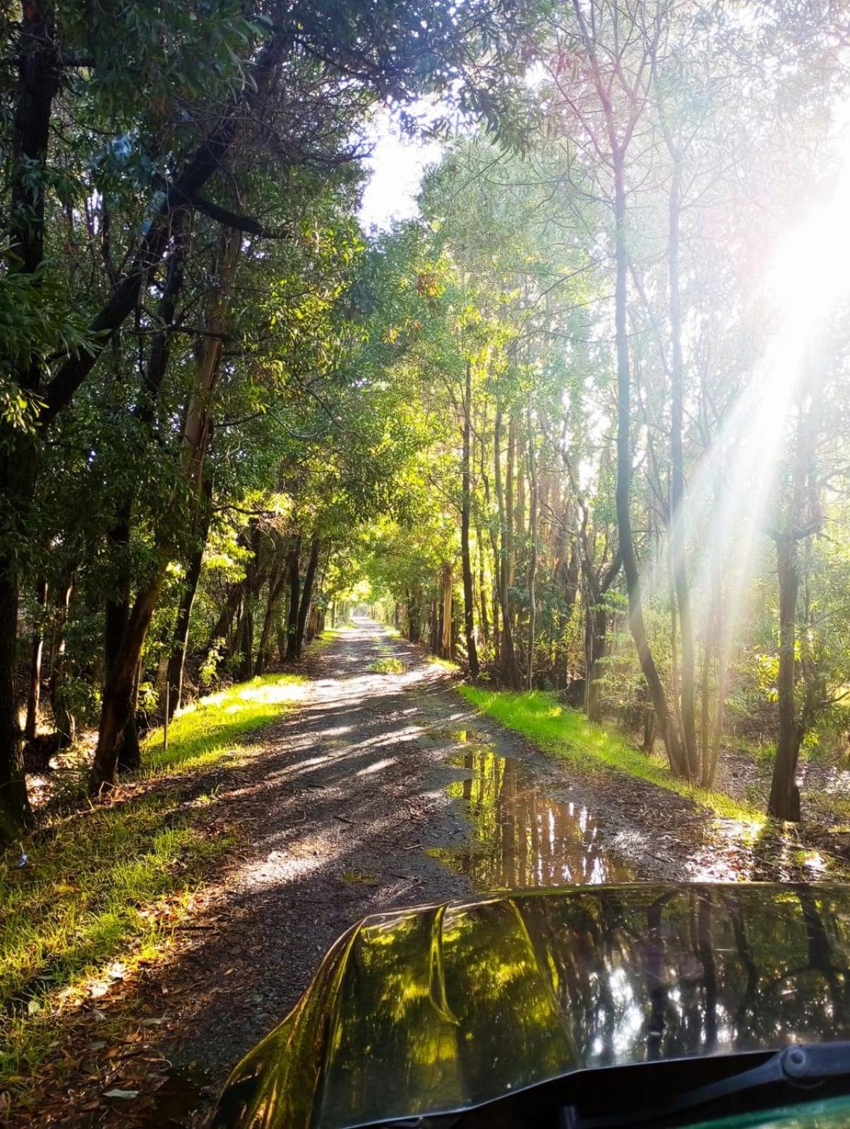 La Casa De Adobe Natural Y Mas Bulnes Εξωτερικό φωτογραφία